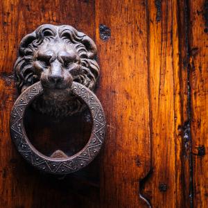 Romantic Style Brass Door Knocker