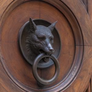 Rustic Brass Wolf Door Knocker 