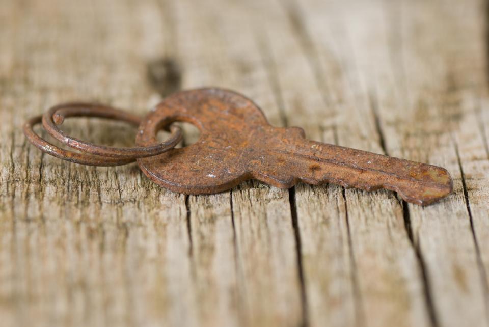  Ventant Antique Key 
